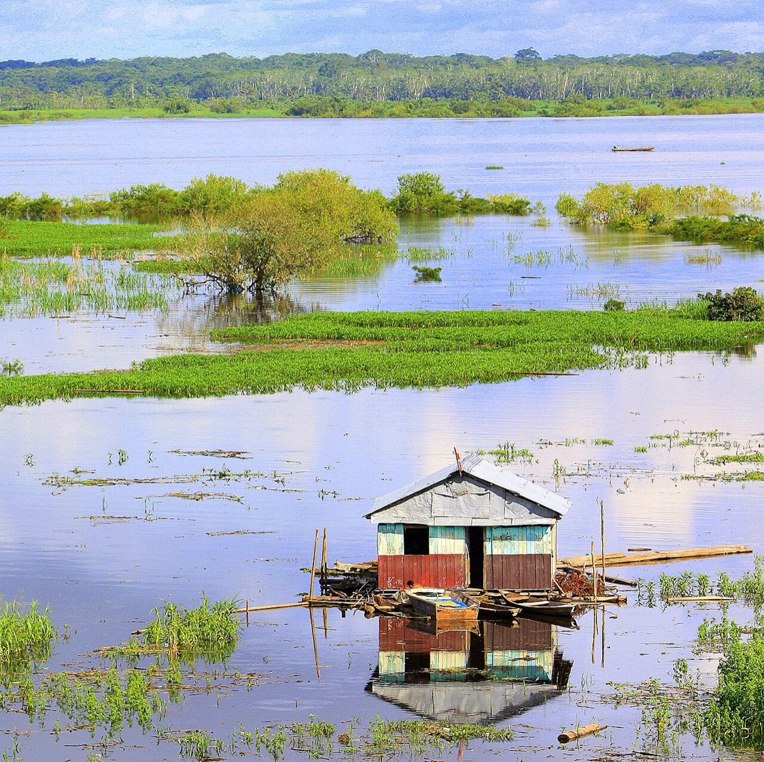 Río Amazonas en Iquitos, destino de Viva Air Perú