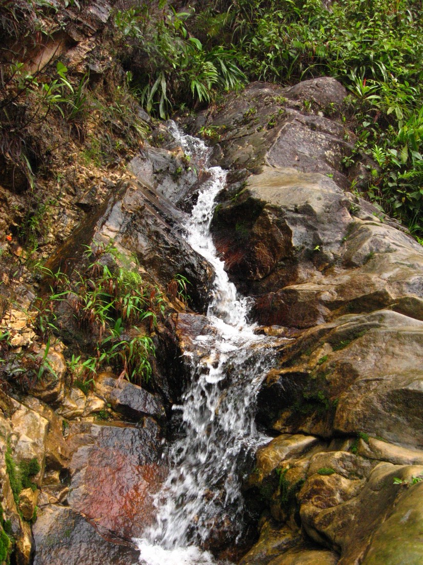 Catarata en Tarapoto, destino de Viva Air Perú